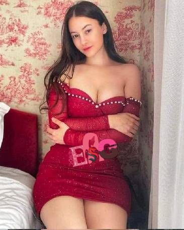 meena classic escort service pune